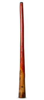 Tristan O'Meara Didgeridoo (TM305)